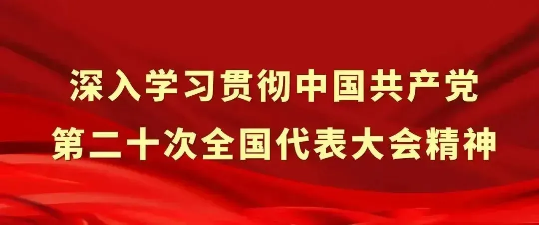 深入学习贯彻党的二十大精神-01.png